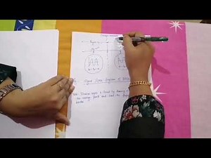 Error Probability for BPSK