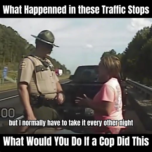 79K views · 316 reactions | What Happenned in these Traffic Stops What Would You Do If a Cop Did This | Reality TV shows | Facebook