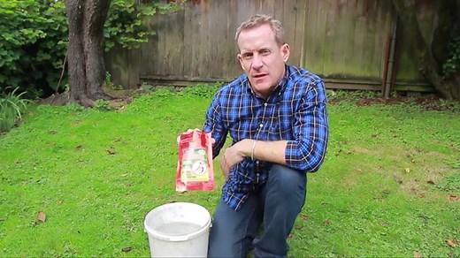 How to Apply Nematodes to Control Grubs - Heeman's