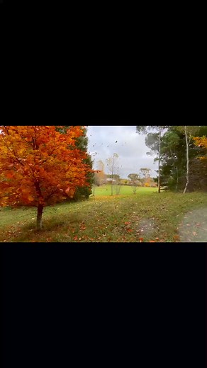 33 reactions · 3 comments | Radio Springs Hotel on Reels | Facebook