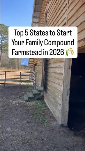 Top 5 States to Start a Family Compound in 2026