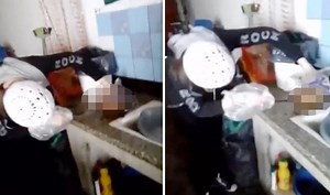 GRAPHIC CONTENT: Gruesome video shows teen killing turtle with knife