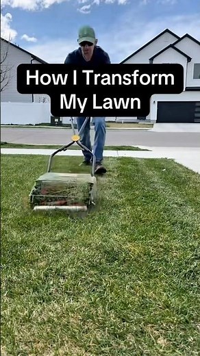 How I Keep Up with My Overseeded Lawn – Reel Mower Cleanup