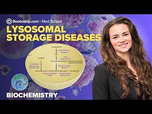 Biochemistry Chapter 2 | Lysosomal Storage Diseases Explained | High-Yield Step 1 Review