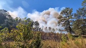 Crews battle large woods fire in St. Tammany Parish
