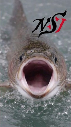 The moment the fish you were chasing gave up on the bite! #AreaTrout #NeoStyle #VerticalFishing