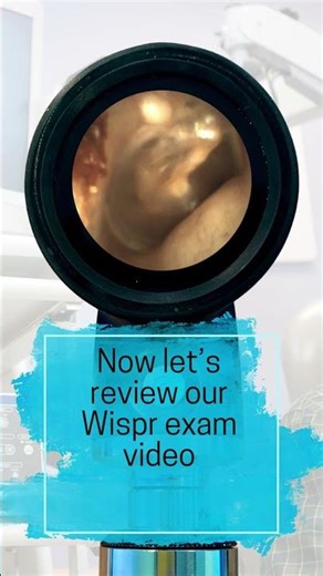 Osteoma or Exostosis?