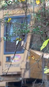 Super proud of what this guy has become over the years! | Daniel Gray