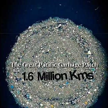 We’re Missing The Most Horrifying Part Of The Ocean Plastic Crisis