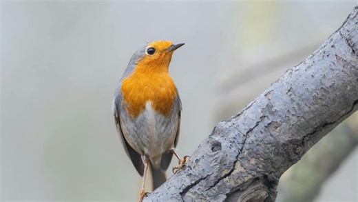 Stuff quiz: Morning trivia challenge: February 25, 2026