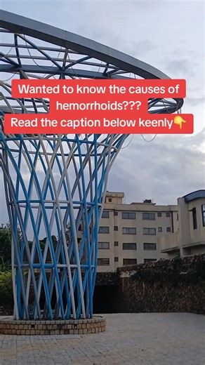 Understanding the Main Causes of Hemorrhoids