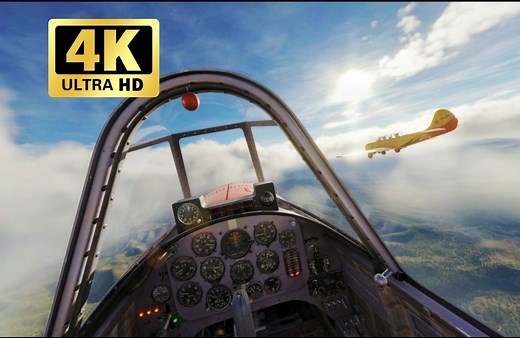 【DCS】双机编队飞行： 4K 沉浸纯享 电影级画质