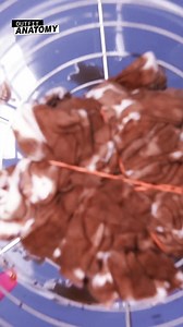 3.3K views · 18 reactions | How to tie dye like a pro even if it's your first time! | Outfit Anatomy | Facebook