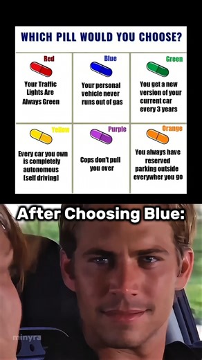 Which one would you choose??🤔