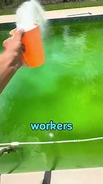 How Dirty Pools Are Brought Back to Life 🏊‍♂️