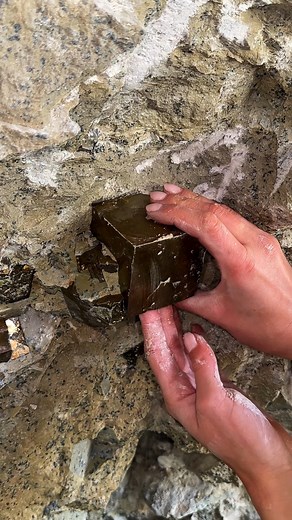 The Biggest Pyrite Crystal We Ever Found!✨ It was our very last day digging at Pyrite Cubes mine in Navajùn, Spain when we spotted a massive cube poking out of the Limestone wall in the upper zone. We spent hours carefully uncovering this big beauty until we could finally pull it out for the very first time. What an exciting experience and the best way to end our digging adventure!! We hope you enjoyed this as much as we did! 😁✨ #pyrite #mining #crystals #minerals #geology #rockhound | Rocks fo