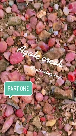 Skye_mcbride on TikTok