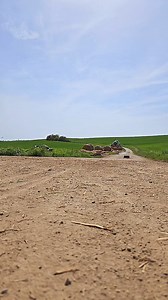 40K views · 496 reactions | Big jump DF Z06 XL df models | rcaktioncarsjs | Facebook