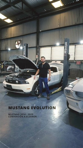 Mustang Evolution representa una nueva forma de entender el ícono. Parte de una base moderna, Mustang 2014 a 2025, y adopta la imagen más legendaria de todas: Eleanor. Diseño, presencia y carácter clásico reinterpretados con tecnología actual, mayor confiabilidad y una experiencia pensada para disfrutarse hoy. No es un restomod común. Es la evolución natural de un Mustang llevado al siguiente nivel por Luxury Classic. Agenda tu cita hoy mismo y sé parte de este lanzamiento. 📞Teléfono / WhatsApp