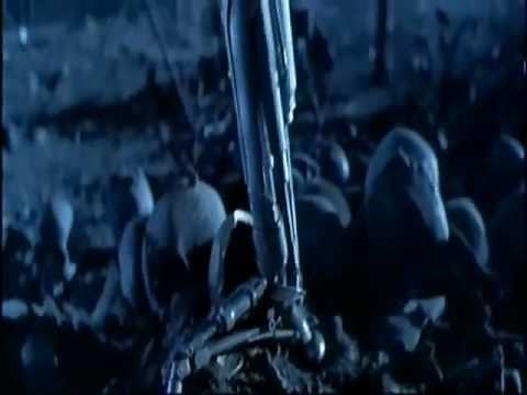 Austrian Death Machine -THE TERMINATOR I AM A CYBERNETIC ORGANISM