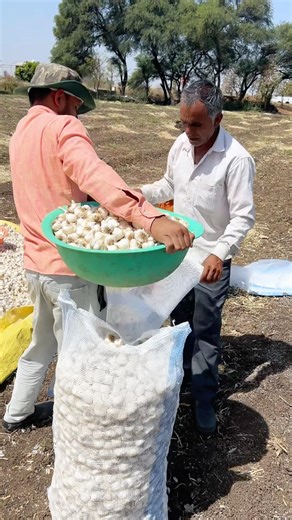 क्या करोड़पति बनने वाले है || 💸👻 #shorts #minivlog #youtubeshorts #viralshort #trendingvideo