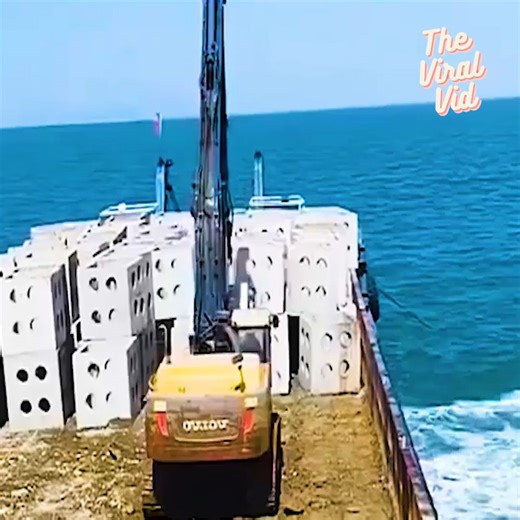 The Role of Artificial Reefs | The Viral Vid