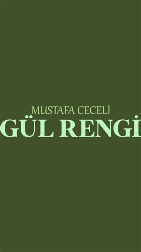 novae on Instagram: "Mustafa Ceceli - Gül Rengi 🎧 #mustafaceceli #gülrengi #türkçemüzik #lyricstürkçe #mustafaceceli̇"