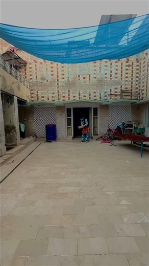 Kids Play Cricket + Impossible Wire Loop Challenge! #youtubeshorts #ytshorts #cricketlover