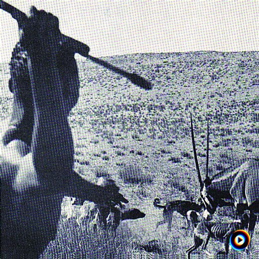 I'll Ram My Ovopositor Down Your Throat and Lay Eggs in Your Chest but, I'm Not an Alien by The Reptilian