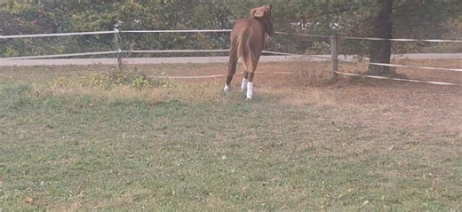 Eowyn Brewer on Reels | Facebook