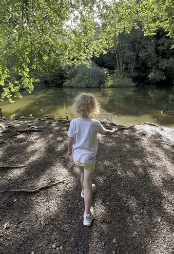 My Wee Dolly on TikTok