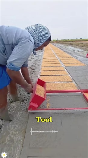 The Future of Rice Farming: Precision and Efficiency at Every Step#RiceFarmingInnovation #PrecisionAgriculture#usa🇺🇸