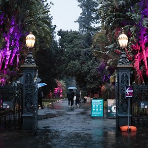 🌈🌲 Adelaide BOTANIC GARDEN Is About To Get LIT Y'all 🌲🌈 Click here to see what's in store 👉 https://whereto.link/6df77 | Where To Adelaide