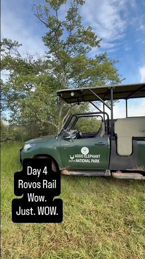 Epic day! Rovos Rail with a dose of lions!! #safari#invited #railways#luxurytravel #lions#elephants