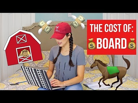 Finding A Horse Boarding Facility + Tips | Beginners Guide To Horses