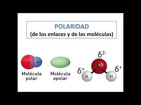 Polarity of molecules and bonds