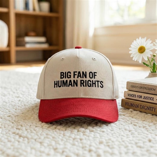 EMBROIDERED Big Fan of Human Rights Hat, Minimalist Feminist Embroidered Hat, Equality Social Justice Hat, Activism Gift Cap - Etsy