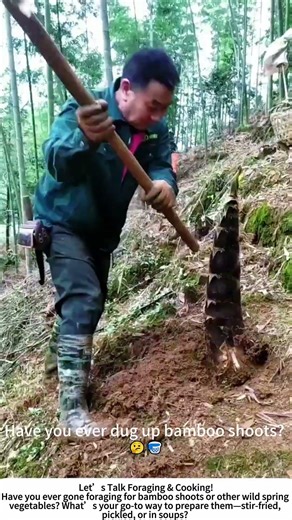 Digging Spring Bamboo Shoots – Forest Harvest Time! 🎋🌿