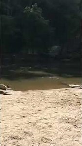 Sonova Beach on Chattooga River