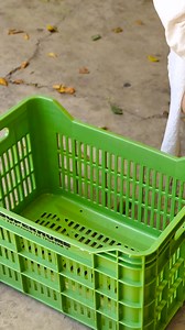 Chicken Lovers Need to Try These Hacks | 5-Minute Crafts SHORTS