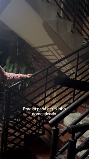 Los esposos y el lobo domesticado: una divertida perspectiva