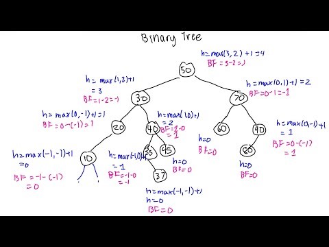 Balance Factor and Height of a Tree | AP CS Data Structures