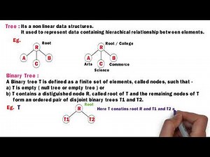 Class 12th Computer Science - I : Chapter 2 | Binary Tree | Part 1