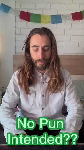 Understanding the Meaning of 'No Pun Intended'