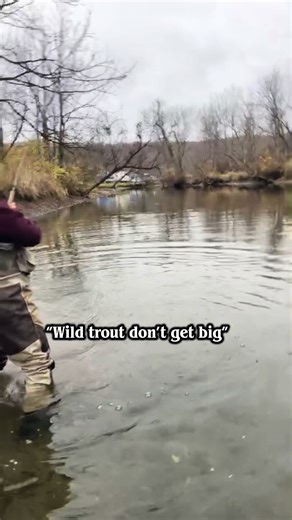 Bead Fishing Techniques for Wild Trout