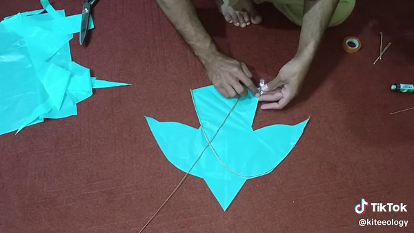 Create a Unique Bird Kite Using a Plastic Bag