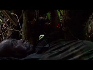 Macs Death Predator