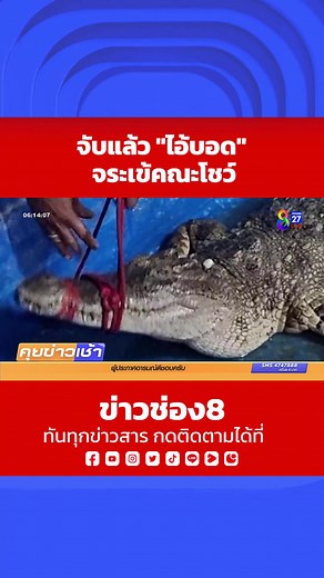 ข่าวช่อง8 บน TikTok