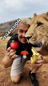 1.2M views · 13K reactions | Dean Schneider on Reels | Facebook