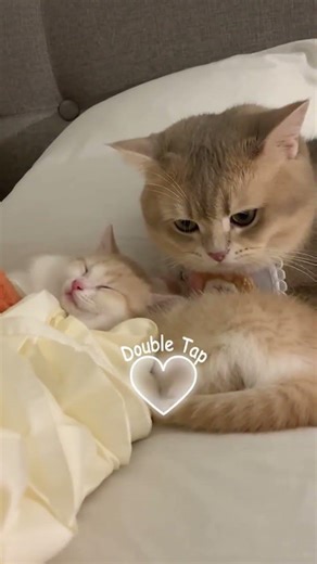 Secrets to Melting Your Wife's Anger